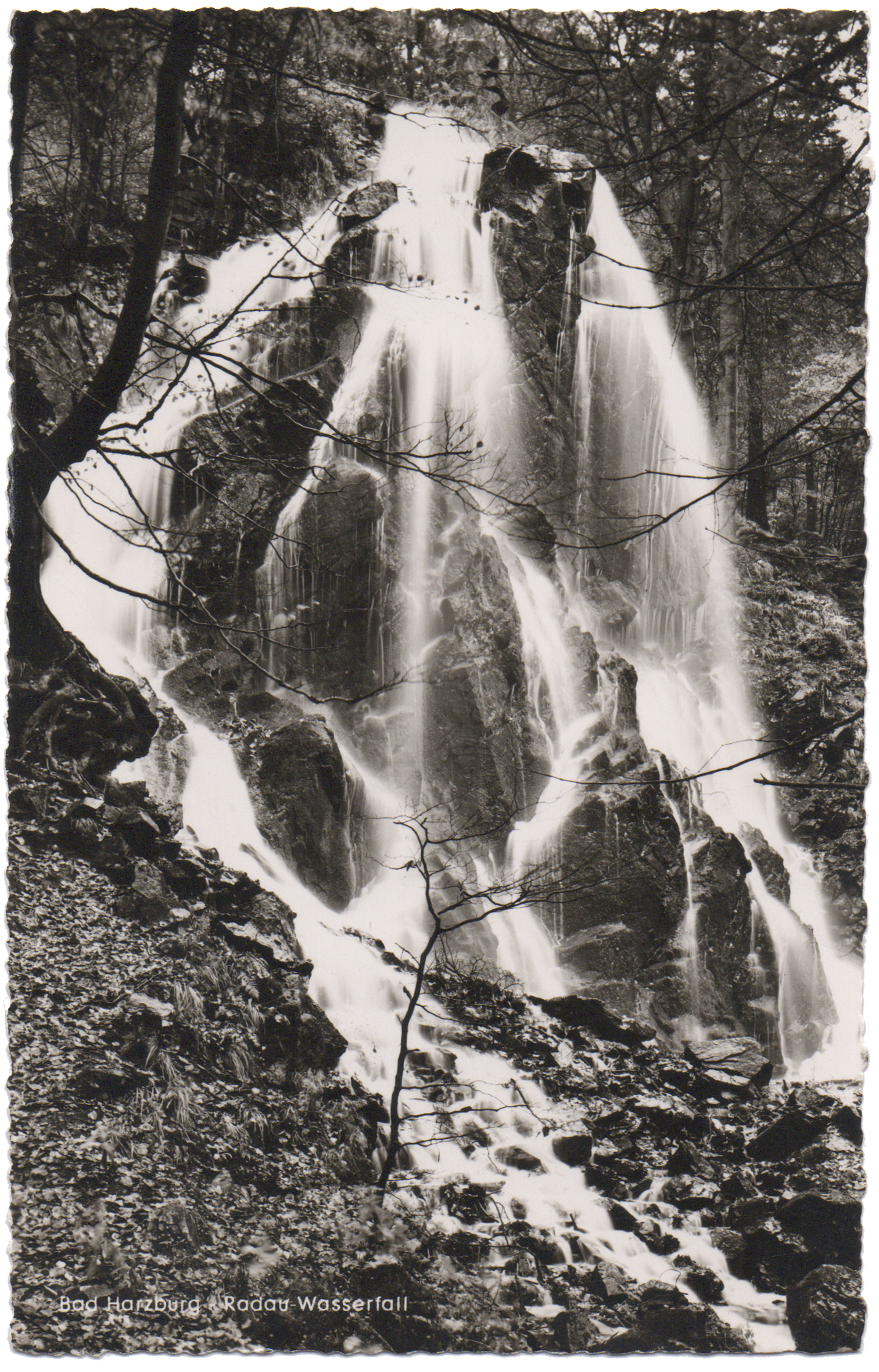Janusz Beck Hart